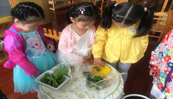 第一次发现&middot;主题式科学探究